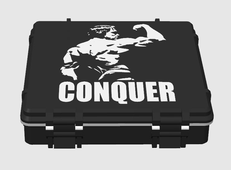 conquer-c