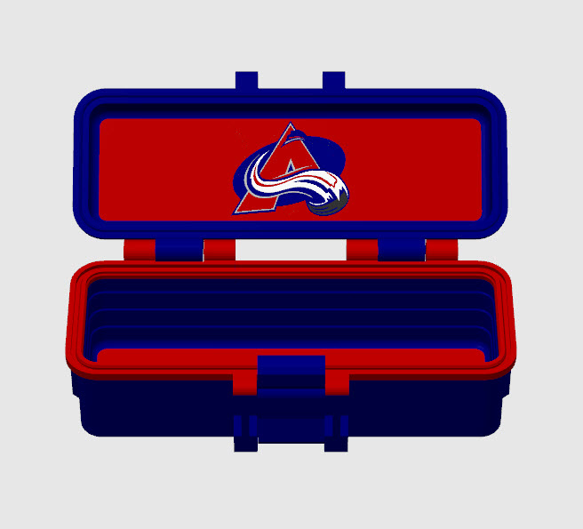 avalanche1